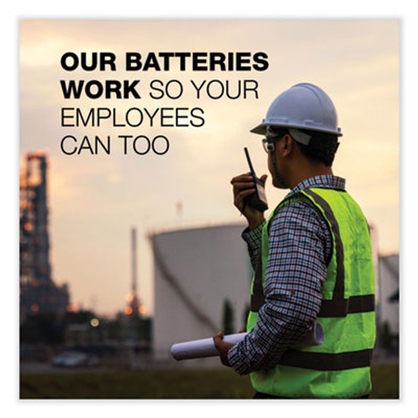 Max Aa Alkaline Batteries 1.5 V, 4/Pack