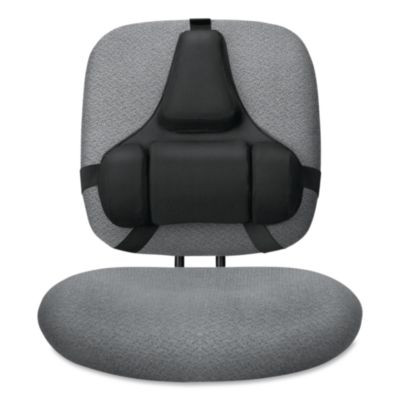 Professional Series Back Support With Microban Protection, 15 X 2 X 14.5, Black