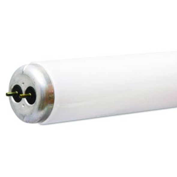 Garage And Basement Linear Fluorescent Bulb T8 G13, 25 W, Cool White, 24/Carton