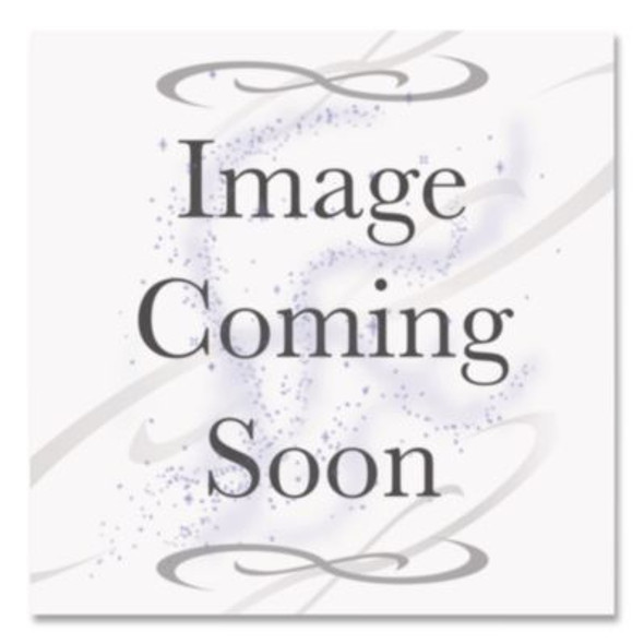 Radial Steel Wool Pads, Grade 00 (Very Fine): Cleaning And Polishing, 20" Diameter, Gray, 12/Carton