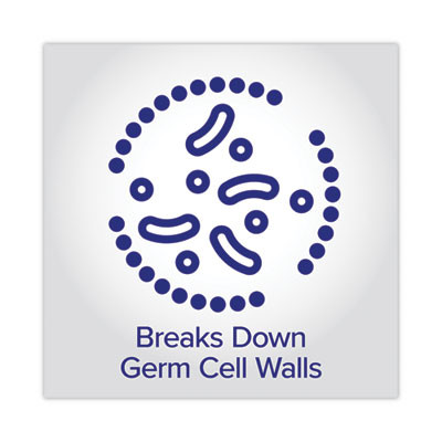 Prime Defense Advanced 85% Alcohol Gel Hand Sanitizer, 12 Oz Pump Bottle, Clean Scent