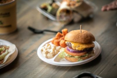 Earthchoice Pfas Free Compostable Dinnerware, 3-Compartment Plate, Sugarcane, 10.25" Dia, Natural, 500/Carton