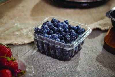 Blueberry Modular Clamshell, 32 Oz, 7.25 x 7.5 x 3.06, Clear, Plastic, 180/Carton