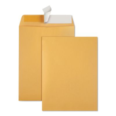 Redi-Strip Catalog Envelope, #10 1/2, Cheese Blade Flap, Redi-Strip Adhesive Closure, 9 x 12, Brown Kraft, 100/Box