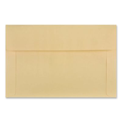 Filing Envelopes, Letter Size, Cameo Buff, 100/Box