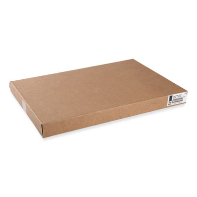 Filter Sheet, 16.38 x 24.38, 100/Carton
