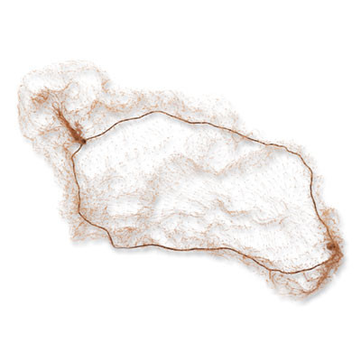 Lightweight Latex-Free Hairnets, Nylon, 24", Light Brown, 144/Box, 20 Boxes/Carton