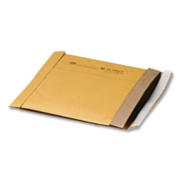 Jiffy Padded Mailer, #2, Paper Padding, Self-Adhesive Closure, 8.5 x 12, Natural Kraft, 100/Carton