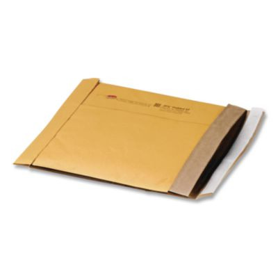 Jiffy Padded Mailer, #2, Paper Padding, Self-Adhesive Closure, 8.5 x 12, Natural Kraft, 100/Carton