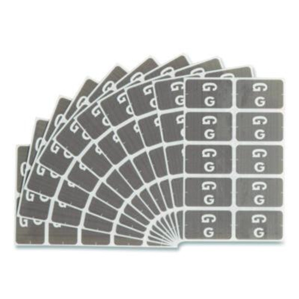 Alphaz Color-Coded Second Letter Alphabetical Labels, G, 1 x 1.63, Gray, 10/Sheet, 10 Sheets/Pack