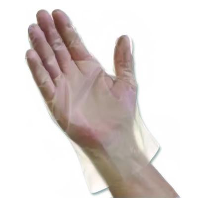 Econofit Plus Polyethylene Gloves, Powder-Free, X-Large, Clear, 200/Box, 10 Boxes/Carton