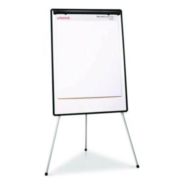 Self-Stick Easel Pad, Unruled, 25 x 30, White, 30 Sheets, 2/Carton