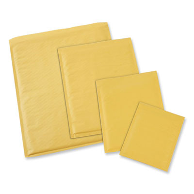 Peel Seal Strip Cushioned Mailer, #000, Extension Flap, Self-Adhesive Closure, 4 x 8, 500/Carton