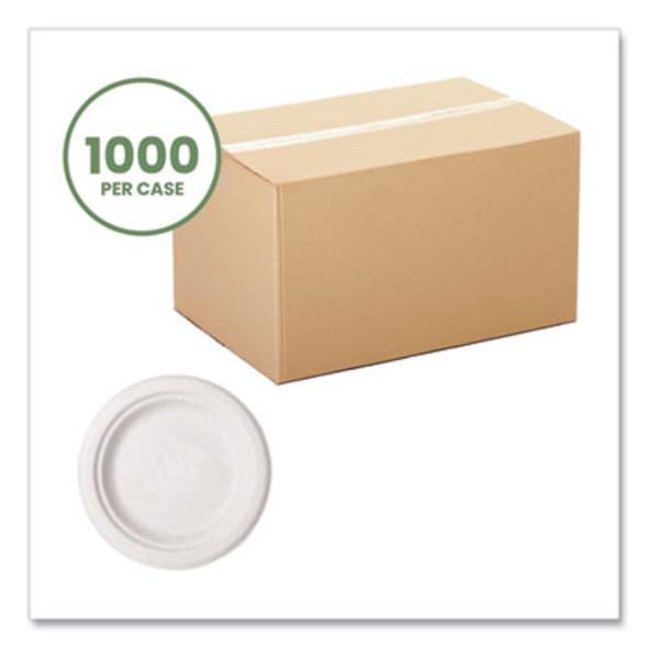 Molded Fiber Tableware, Compostable, Plate, Sugarcane, 6" Dia, White, 1,000/Carton