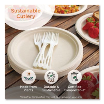 Tpla Bulk Cutlery, Soup Spoon, Plastic, Light Beige, 1,000/Carton