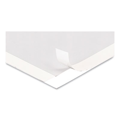 Self Adhesive Sign Holders, 11 x 17, Clear With White Border, 2/Pack