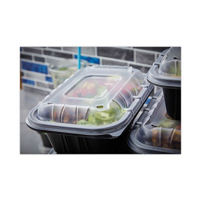 Earthchoice Entree2Go Takeout Container Vented Lid, 8.7 x 5.8 x 1, Clear, Plastic, 300/Carton