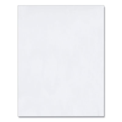 Redi-Strip Catalog Envelope, #13 1/2, Cheese Blade Flap, Redi-Strip Adhesive Closure, 10 x 13, White, 100/Box