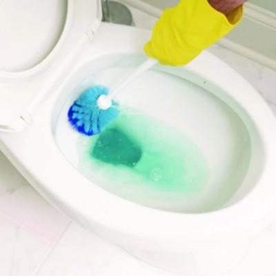 Bowl Shine Ii, Pleasant Scent, 1 Qt Bottle, 12/Carton