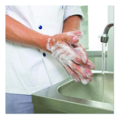 Green Earth Clear Foaming Skin Cleanser, Fragrance-Free, 1 Gal Bottle, 4/Carton