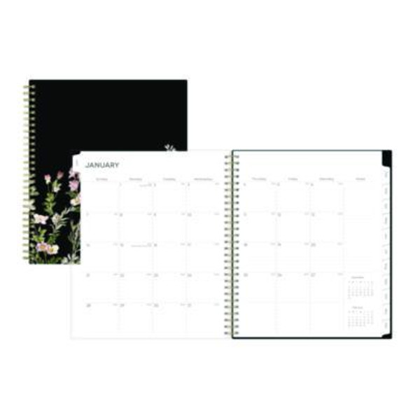 Nevaeh Monthly Planner, Floral Artwork, 10 x 8, Black/Multicolor Cover, 12-Month (Jan To Dec): 2026
