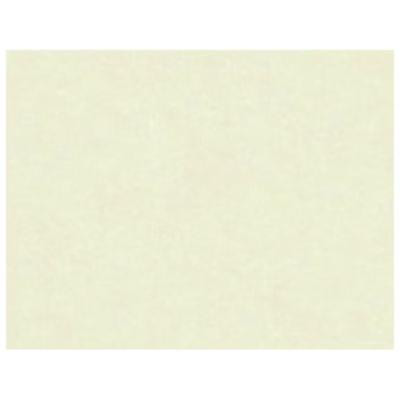Faux-Parchment Certificates, 8.5 x 11, Ivory, 50 Sheets