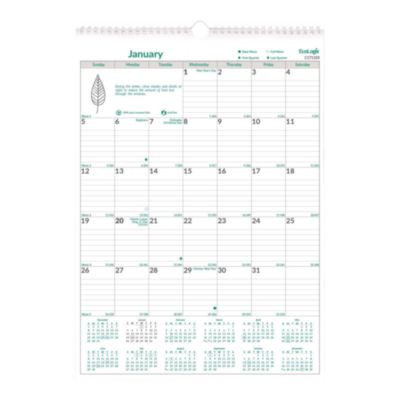 Ecologix Monthly Wall Calendar, Ecologix Artwork, 12 x 17, White/Green Sheets, 12-Month (Jan To Dec): 2026