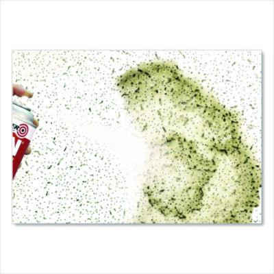 Bin Shellac Primer Spray, Interior, Flat White, 13 Oz Aerosol Can, 6/Carton