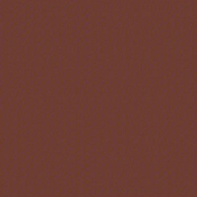 Hard Hat High Performance V2100 System Rust Preventive Enamel Spray Primer, Flat Red, 15 Oz Aerosol Can, 6/Carton