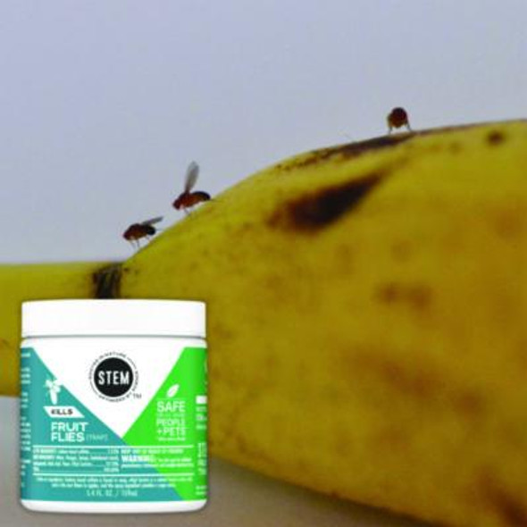 Stem Fruit Flies Trap, 5.4 Oz Jar, 8/Carton