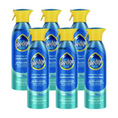 Multi-Surface Everyday, Rainshower Scent, 9.7 Oz Aerosol Spray, 6/Carton