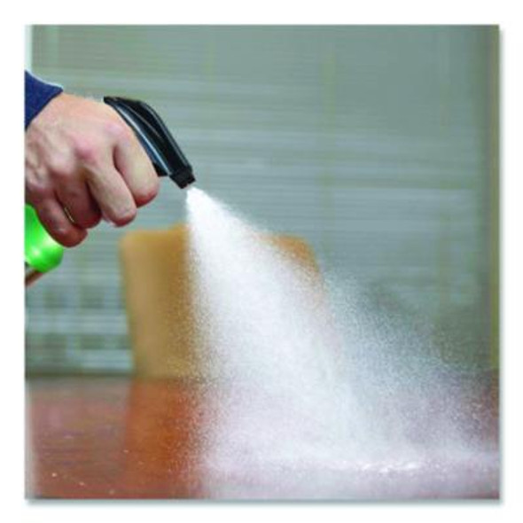 Professional General Purpose Cleaner, 1 Gal Jug, 4/Carton