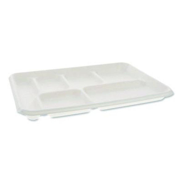 Compostable Fiber Blend School Lunch Tray, Heavy Duty, 8 x 12 x 1, White, 250/Carton