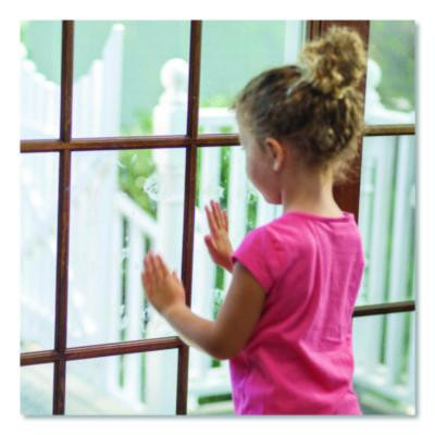 Professional Glass Cleaner, 1 Gal Jug, 4/Carton