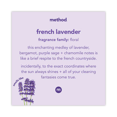Foaming Hand Wash, French Lavender Scent, 10 Oz, 6/Carton