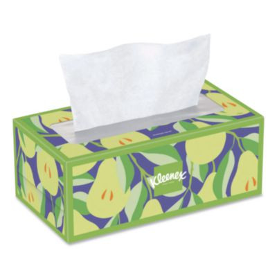 Trusted Care Facial Tissue, 2-Ply, White, 160 Sheets/Box, 3 Boxes/Pack, 12 Packs/Carton