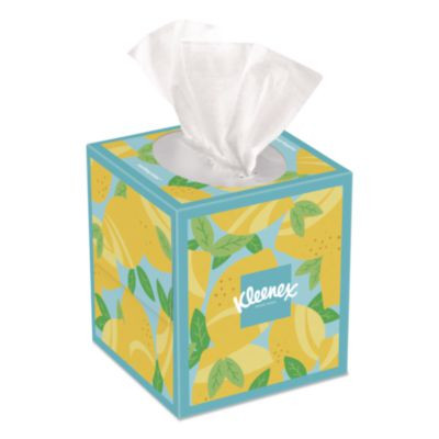 Ultra Soft Facial Tissue, 3-Ply, White, 60 Sheets/Box, 4 Boxes/Pack, 12 Packs/Carton