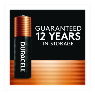 Power Boost Copper Top Alkaline Aa Batteries, 24/Pack