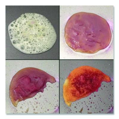 Base Neutralizer, 0.02 L To 9.5 L, 1 Gal Pail