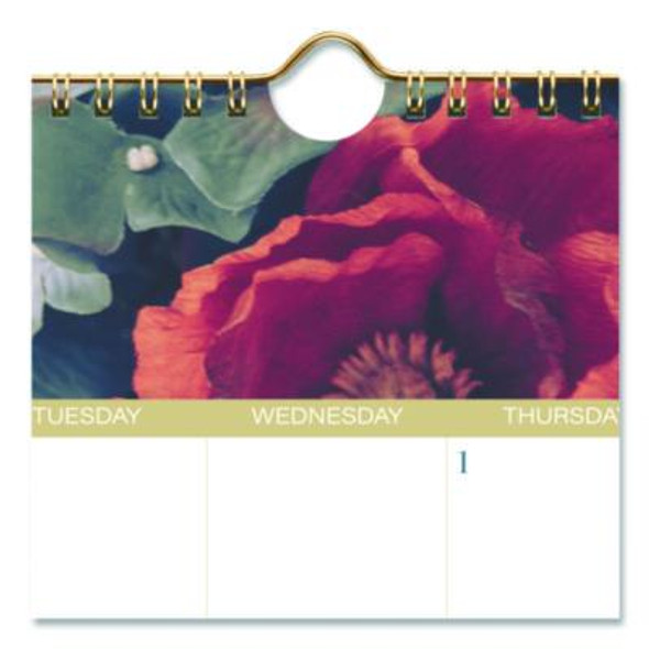 Midnight Garden Monthly Wall Calendar, 15 x 12, Floral Artwork, 12-Month (Jan-Dec): 2026