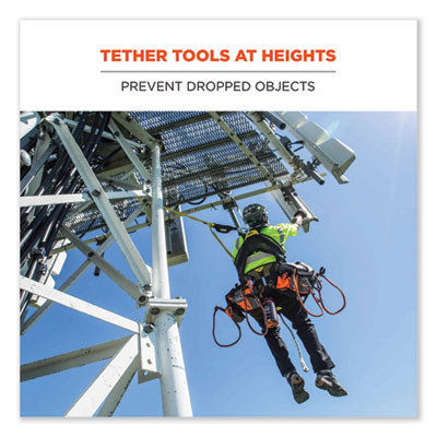 Squids 3100 Lanyard With Aluminum Carabiner + Cinch-Loop, 10 Lb Max Working Capacity, 42" To 54" Long, Lime