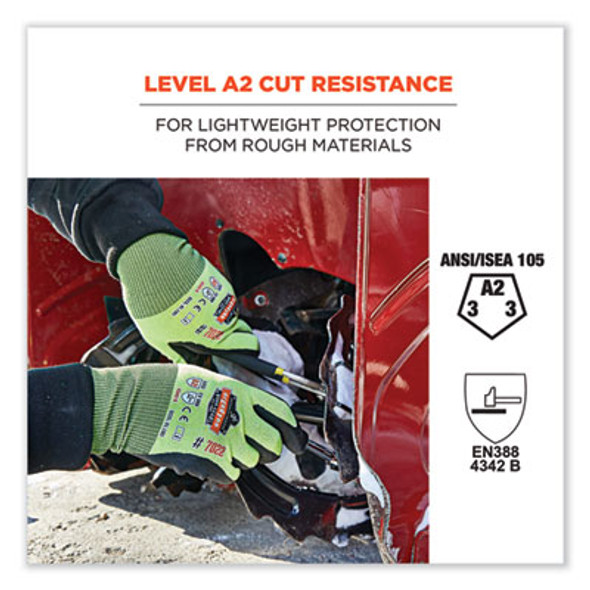 Proflex 7022-Case Ansi A2 Coated Cr Gloves Dsx, En388: 4342B, 10.5" Long, Xx-Large, Lime, 144 Pairs/Carton