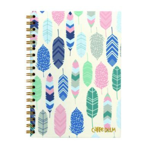 B5 Size Notebook, 1-Subject, Medium/College Rule, Cream/Pink/Blue Cover, (80) 9.8 x 6.9 Sheets, 3/Pack