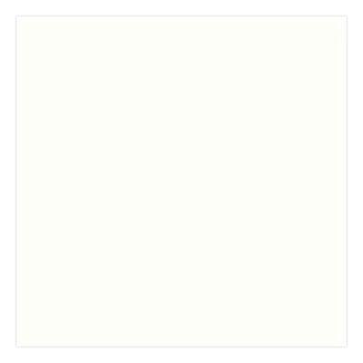 Universal Premium Spray Paint, Gloss White, 12 Oz Aerosol Can