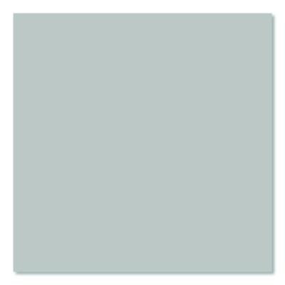 Ultra Matte Chalked Paint, Matte Aged Gray, 12 Oz Aerosol Can