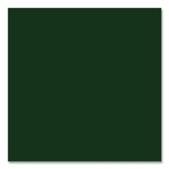 Touch'n Tone Spray Paint, Gloss Hunter Green, 10 Oz Aerosol Can, 6/Carton