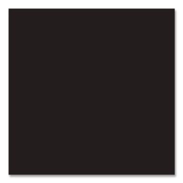 Professional Spray Paint, Flat Black, 15 Oz Aerosol Can, 6/Carton