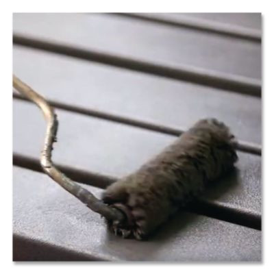 High Performance 9100 System Dtm Epoxy Mastic Paint, Gloss Clear, 1 Gal Bucket/Pail, 2/Carton