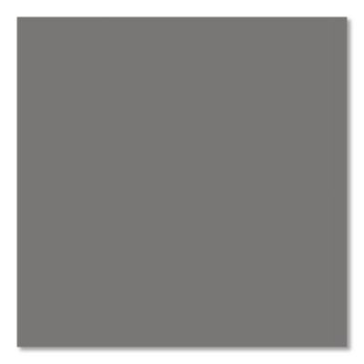 Professional Spray Paint, Flat Gray, 15 Oz Aerosol Can, 6/Carton