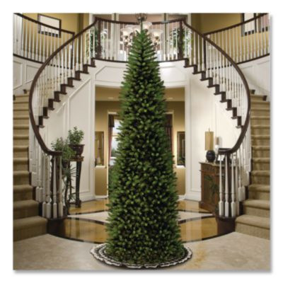 Kingswood Fir Pencil Tree, 54" x 54" x 168", Green Tree, Green Tree Stand